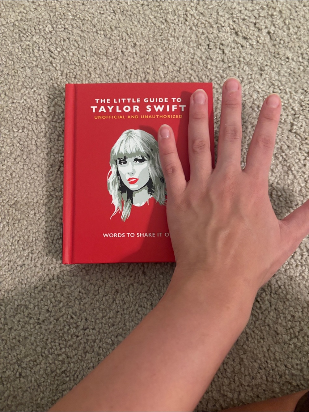 The Little Guide to Taylor Swift - Quote book, coffee table book - Picture 6 of 6